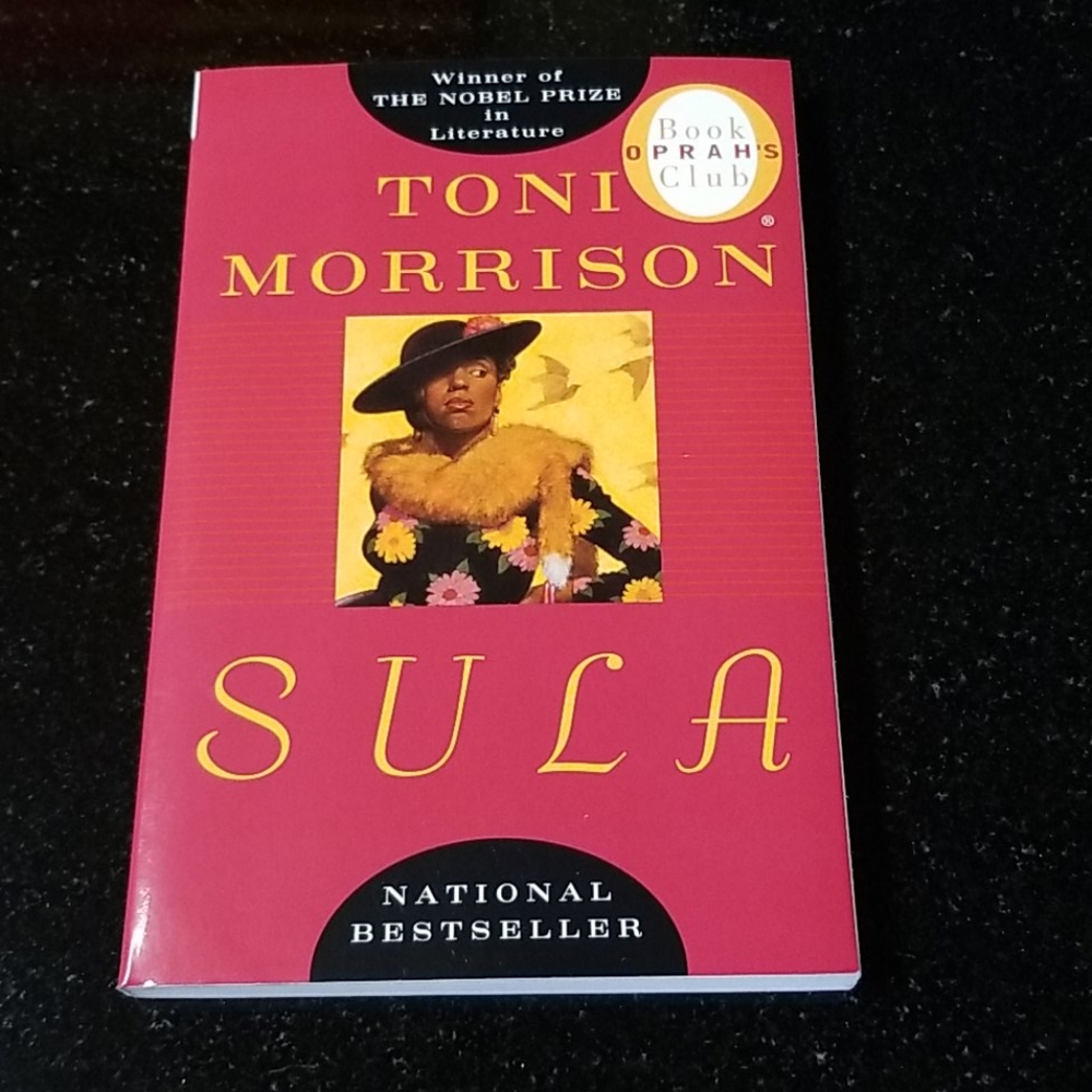 Softback Book (Used)